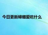 今日更新蟑螂爱吃什么