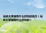仙林大学城有什么好玩的地方（仙林大学城有什么好玩的）