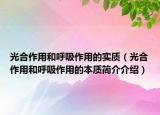 光合作用和呼吸作用的实质（光合作用和呼吸作用的本质简介介绍）