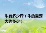牛有多少斤（牛的重要大约多少）