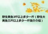 野生黄鱼3斤以上多少一斤（野生大黄鱼三斤以上多少一斤简介介绍）