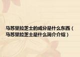 马苏里拉芝士的成分是什么东西（马苏里拉芝士是什么简介介绍）