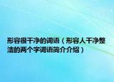 形容很干净的词语（形容人干净整洁的两个字词语简介介绍）
