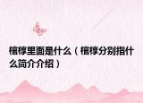 棺椁里面是什么（棺椁分别指什么简介介绍）