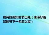 唐诗好雨知时节出处（唐诗好雨知时节下一句怎么写）