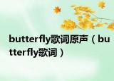 butterfly歌词原声（butterfly歌词）