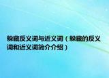 躲藏反义词与近义词（躲藏的反义词和近义词简介介绍）