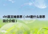 cht英文啥意思（cht是什么意思简介介绍）
