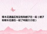 樱木花道最后有没有和晴子在一起（晴子和樱木花道在一起了吗简介介绍）