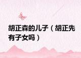 胡正森的儿子（胡正先有子女吗）