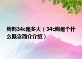 胸部34c是多大（34c胸是个什么概念简介介绍）