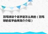 羽毛球这个名字是怎么来的（羽毛球的名字由来简介介绍）