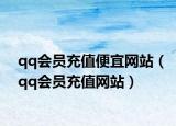 qq会员充值便宜网站（qq会员充值网站）