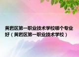 黄岩区第一职业技术学校哪个专业好（黄岩区第一职业技术学校）