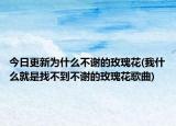 今日更新为什么不谢的玫瑰花(我什么就是找不到不谢的玫瑰花歌曲)