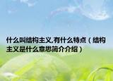 什么叫结构主义,有什么特点（结构主义是什么意思简介介绍）