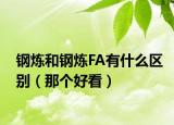 钢炼和钢炼FA有什么区别（那个好看）