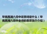 毕竟西湖六月中这首诗是什么（毕竟西湖六月中全诗的意思简介介绍）