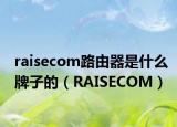 raisecom路由器是什么牌子的（RAISECOM）