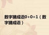 数字猜成语0+0=1（数字猜成语）