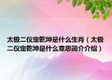 太极二仪定乾坤是什么生肖（太极二仪定乾坤是什么意思简介介绍）