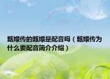 甄嬛传的甄嬛是配音吗（甄嬛传为什么要配音简介介绍）