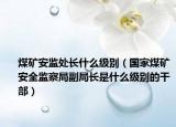煤矿安监处长什么级别（国家煤矿安全监察局副局长是什么级别的干部）