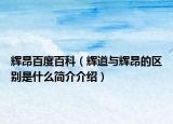 辉昂百度百科（辉道与辉昂的区别是什么简介介绍）