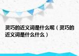 灵巧的近义词是什么呢（灵巧的近义词是什么什么）