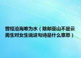 曾经沧海难为水（除却巫山不是云男生对女生说这句诗是什么意思）