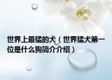世界上最猛的犬（世界猛犬第一位是什么狗简介介绍）