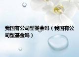 我国有公司型基金吗（我国有公司型基金吗）