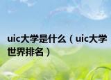 uic大学是什么（uic大学世界排名）