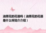 油菜花的花语吗（油菜花的花语是什么呀简介介绍）