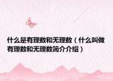 什么是有理数和无理数（什么叫做有理数和无理数简介介绍）