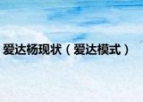 爱达杨现状（爱达模式）