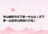 华山被称为天下第一什么山（天下第一山是华山吗简介介绍）