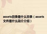 assets目录是什么目录（assets文件是什么简介介绍）