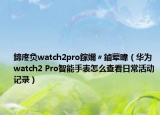 鍗庝负watch2pro鎵嬭〃鏀荤暐（华为watch2 Pro智能手表怎么查看日常活动记录）