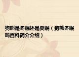 狗熊是冬眠还是夏眠（狗熊冬眠吗百科简介介绍）