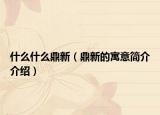 什么什么鼎新（鼎新的寓意简介介绍）