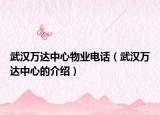武汉万达中心物业电话（武汉万达中心的介绍）