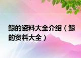 鲸的资料大全介绍（鲸的资料大全）