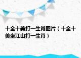 十全十美打一生肖图片（十全十美坐江山打一生肖）