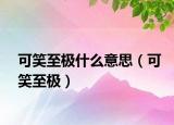 可笑至极什么意思（可笑至极）