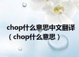 chop什么意思中文翻译（chop什么意思）