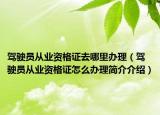 驾驶员从业资格证去哪里办理（驾驶员从业资格证怎么办理简介介绍）