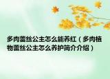 多肉蕾丝公主怎么能养红（多肉植物蕾丝公主怎么养护简介介绍）