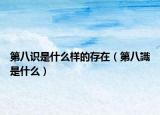 第八识是什么样的存在（第八識是什么）