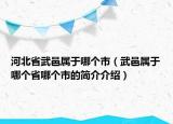 河北省武邑属于哪个市（武邑属于哪个省哪个市的简介介绍）
